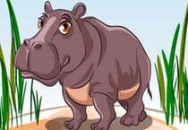 Animal Puzzles Jeu Animal Puzzles Jeu