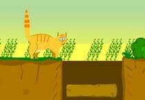 Aventure de Chat Orange Jeu Aventure de Chat Orange Jeu