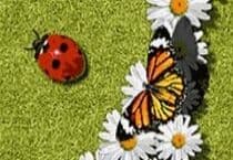 Contrôle de Coccinelle Jeu Contrôle de Coccinelle Jeu