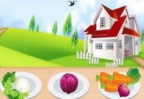 Cooking Healthy Salad Jeu Cooking Healthy Salad Jeu