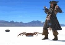 Frappe le Crabe Jeu Frappe le Crabe Jeu