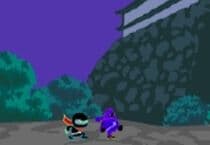Ninja Ninja Jeu Ninja Ninja Jeu
