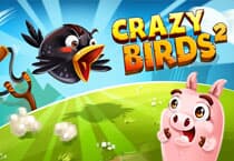 Crazy Birds 2