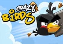Crazy Birds Jeu