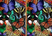 Différences Papillons Jeu
