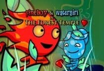 Fireboy and Watergirl Jeu