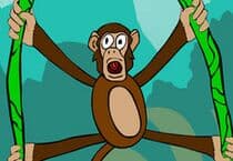 Jungle Monkey Jeu