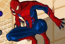 Spiderman À La Mode