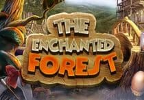 The Enchanted Forest Jeu