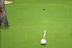 Active Golf Jeu