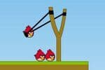 Angry Birds Halloween Boxs Jeu