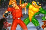 Battletoads and Double Dragon Jeu