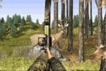 Bow Hunter Jeu