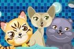 Cat Breeder 2 Jeu