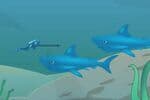 Chasseurs de Requins Jeu