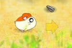 Course de Hamsters Jeu