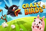 Crazy Birds 2 Jeu