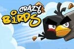 Crazy Birds Jeu
