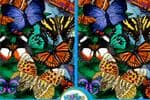 Différences Et Papillons Jeu