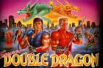 Double Dragon I Jeu