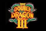 Double Dragon III Jeu