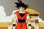 Dragon Ball Fashion Jeu