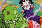 Dragon Ball Puzzle Piccolo Jeu