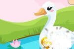 Duck Care Jeu