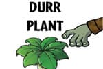 Durr Plant Jeu