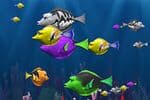 Fish Munch Jeu