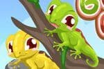 Gecko Care Jeu