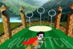 Harry Potter Quidditch Jeu