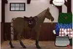 Horse Dress Up Jeu