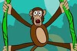 Jungle Monkey Jeu