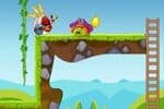 L'Aventure des Angry Birds Jeu