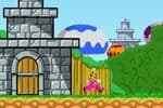 Le Monde de Wario Jeu