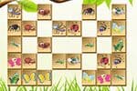 Mahjong Les Insectes Du Jardin Jeu