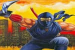 Ninja Ryukenden 3 Jeu