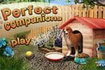 Objets Pour Animaux De Compagnie Jeu