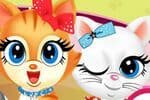 Pets Beauty Salon 2 Jeu