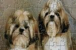 Puzzle de Chiot Jeu