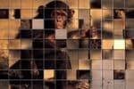 Puzzle Mosaïque de Singe Jeu