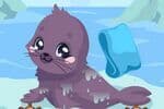 Seal Care Jeu