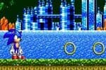 Sonic Course Extrême Jeu