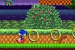 Sonic Extreme Run Jeu