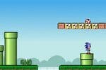 Sonic In Mario World Jeu