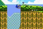 Sonic The Hedgehog Jeu