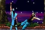 Sub-Zero Killer Jeu