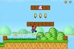 Super Mario Stars Scramble 2 Jeu