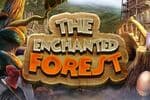 The Enchanted Forest Jeu